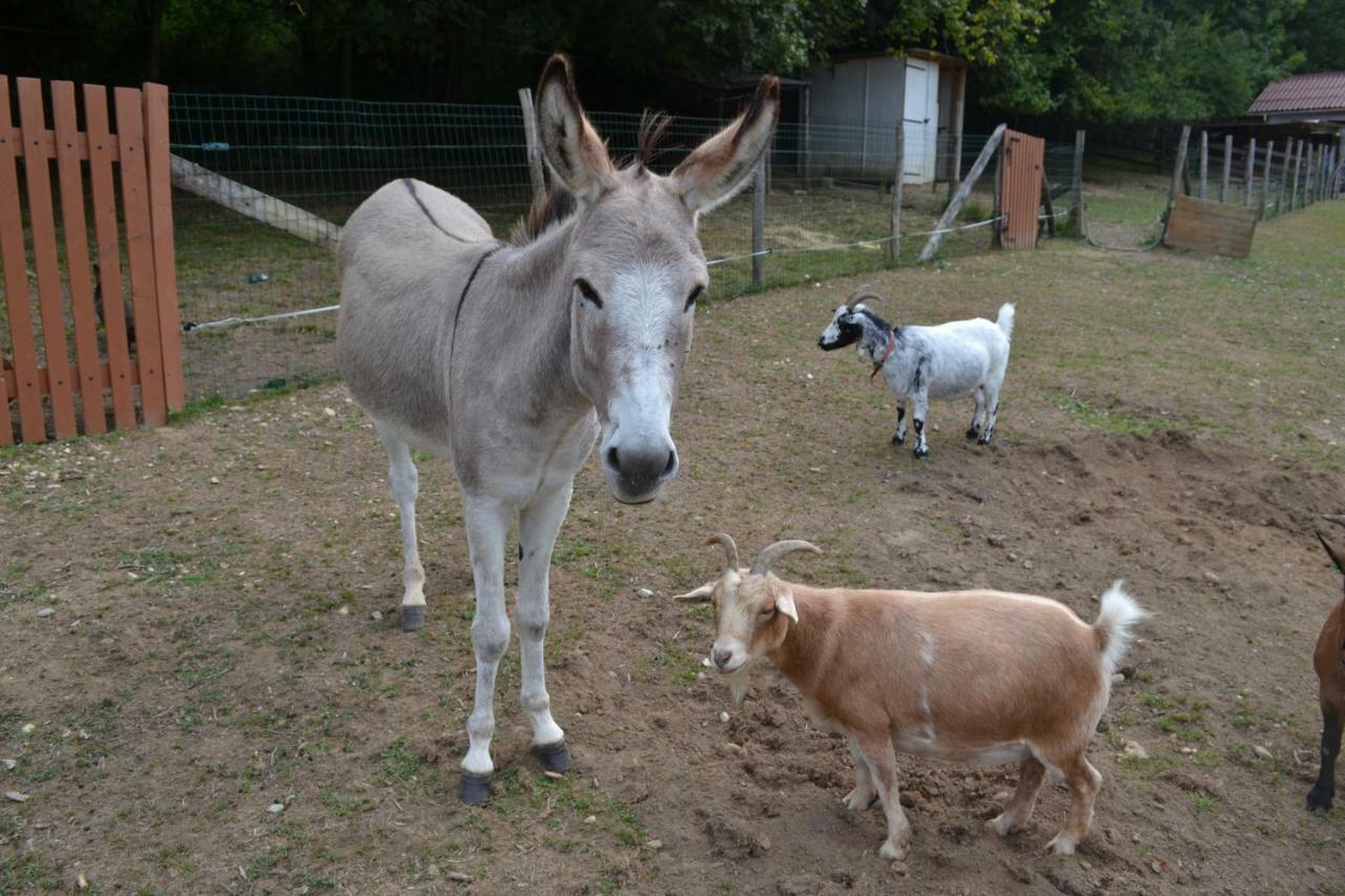Coublevie Le Paradis Des Animaux מראה חיצוני תמונה
