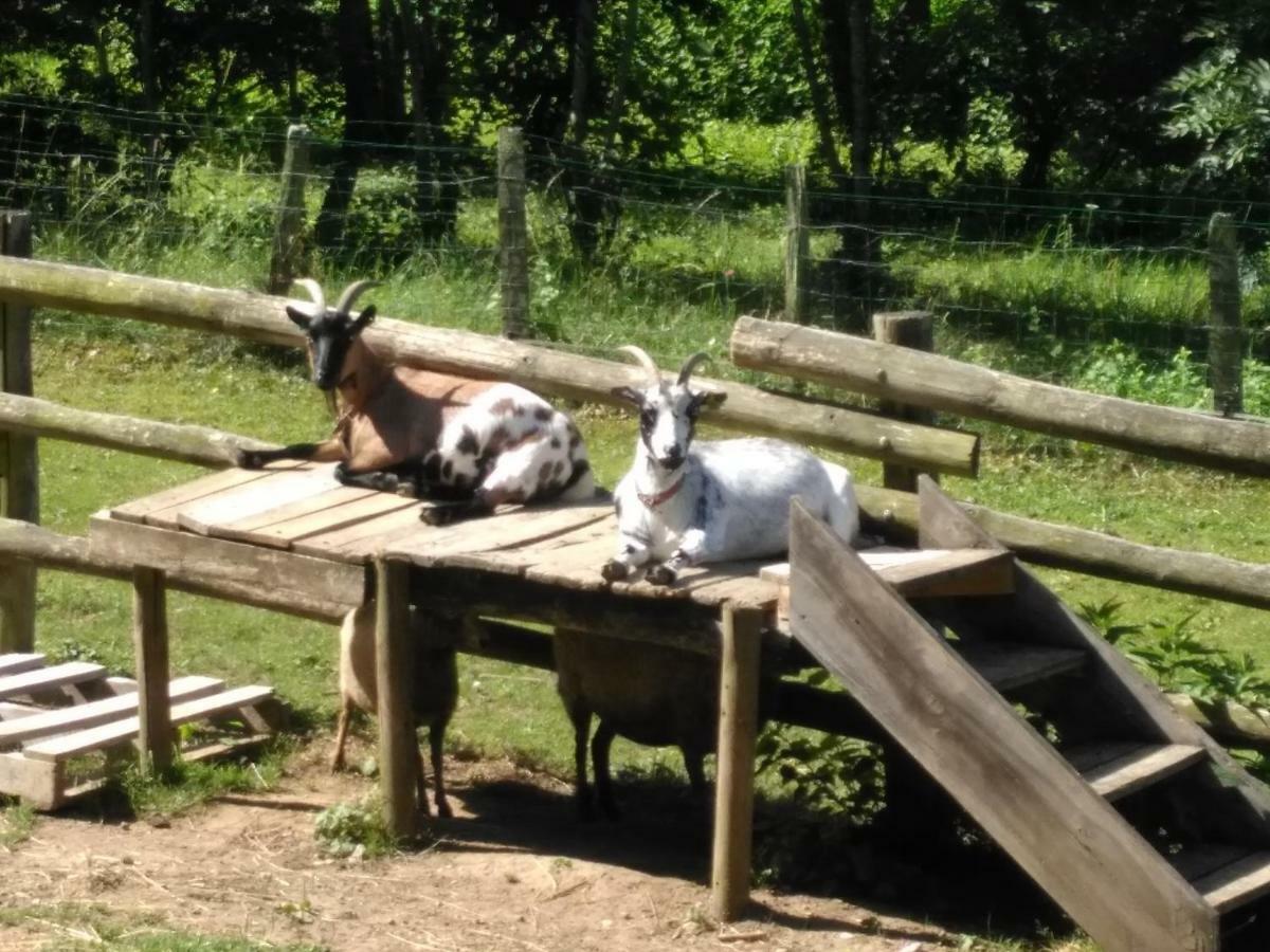 Coublevie Le Paradis Des Animaux מראה חיצוני תמונה